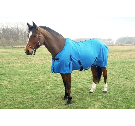 CH. FILET E-TH ECLAT BL