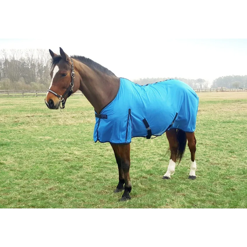 CH. FILET E-TH ECLAT BL