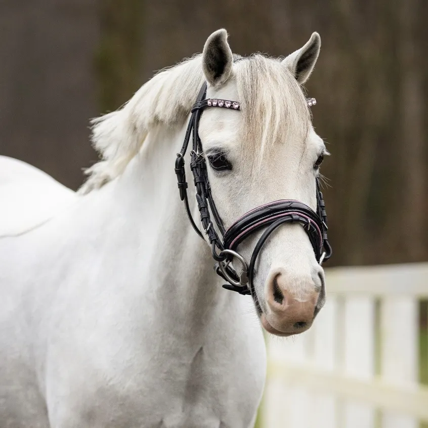 9110 BRIDLE BIXIE 