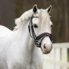 9110 BRIDLE BIXIE 
