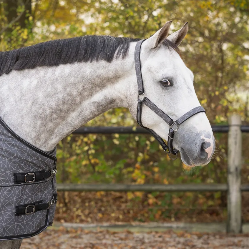 1196 HEAD COLLAR SET