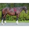 2015 LUNGING TRAINING SYSTEM 