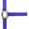 00000951.jpg