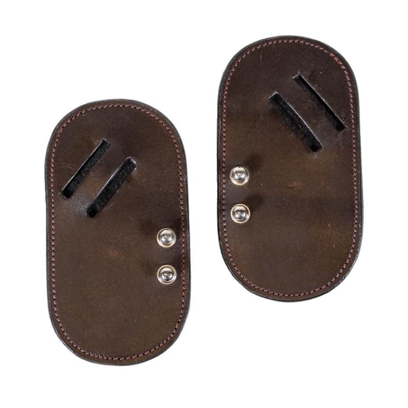 PROTECTOR PARA HACKAMORE DYON