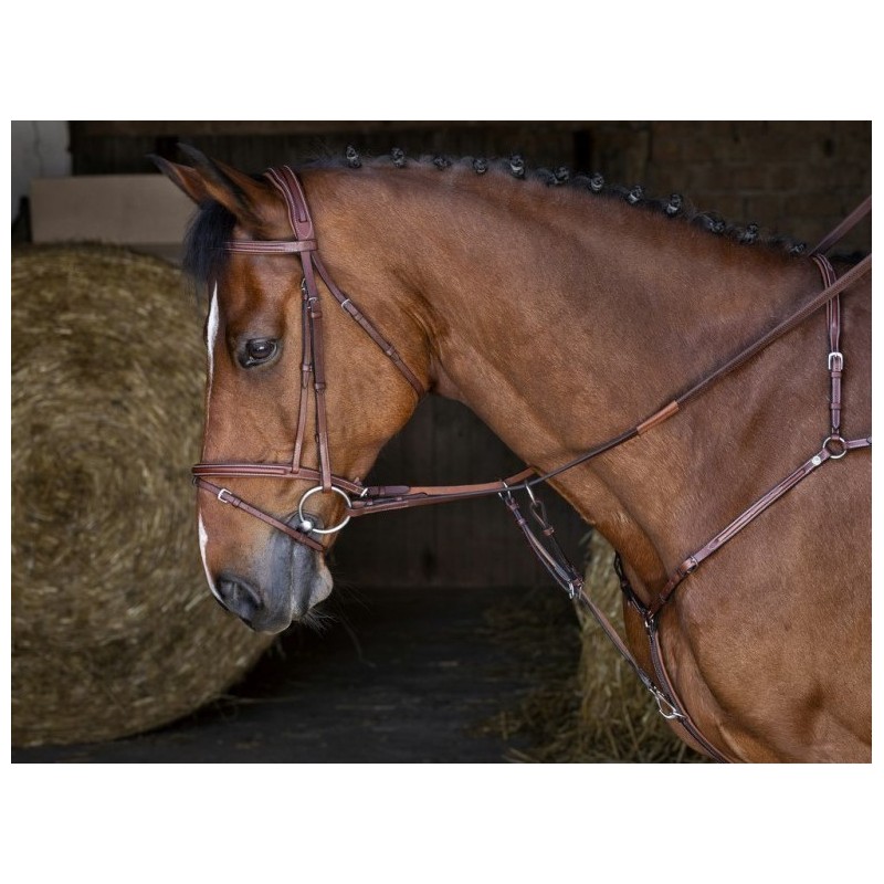 PECHOPETRAL ERIC THOMAS